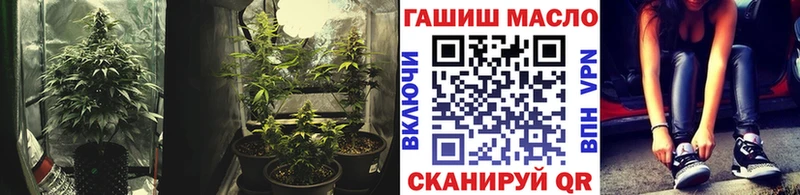 мориарти телеграм Кингисепп ТГК гашишное масло ОМГ ОМГ ССЫЛКА
