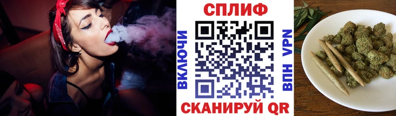 как найти наркотики  Кингисепп  Бошки марихуана тримм 